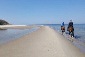 Ev | Konaklama yerinden manzara