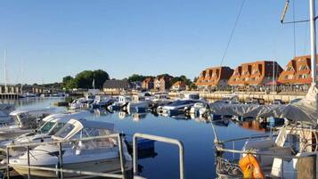 House | View from property