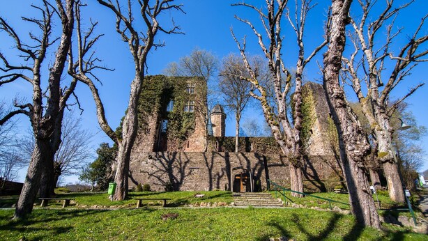 A historic building with a tower, surrounded by bare trees and a grassy area.