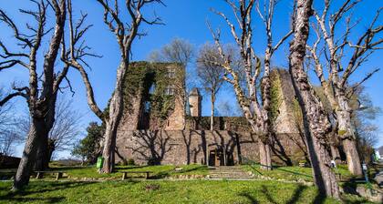 Eifel Nationalpark Grand Lodge