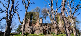 Eifel Nationalpark Grand Lodge