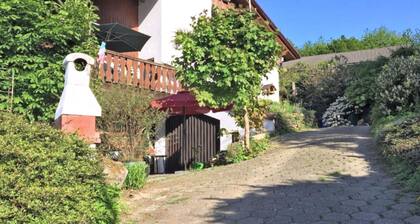 Holiday Flat With Terrace in the Westerwald
