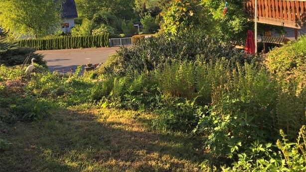 A lush garden with a variety of plants and a wooden deck overlooking a valley.