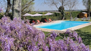 A swimming pool with red lounge chairs and umbrellas, surrounded by purple flowers and trees. - Beautiful Manor house with heated pool in a village,  close to sandy beaches. (EPARGNES)