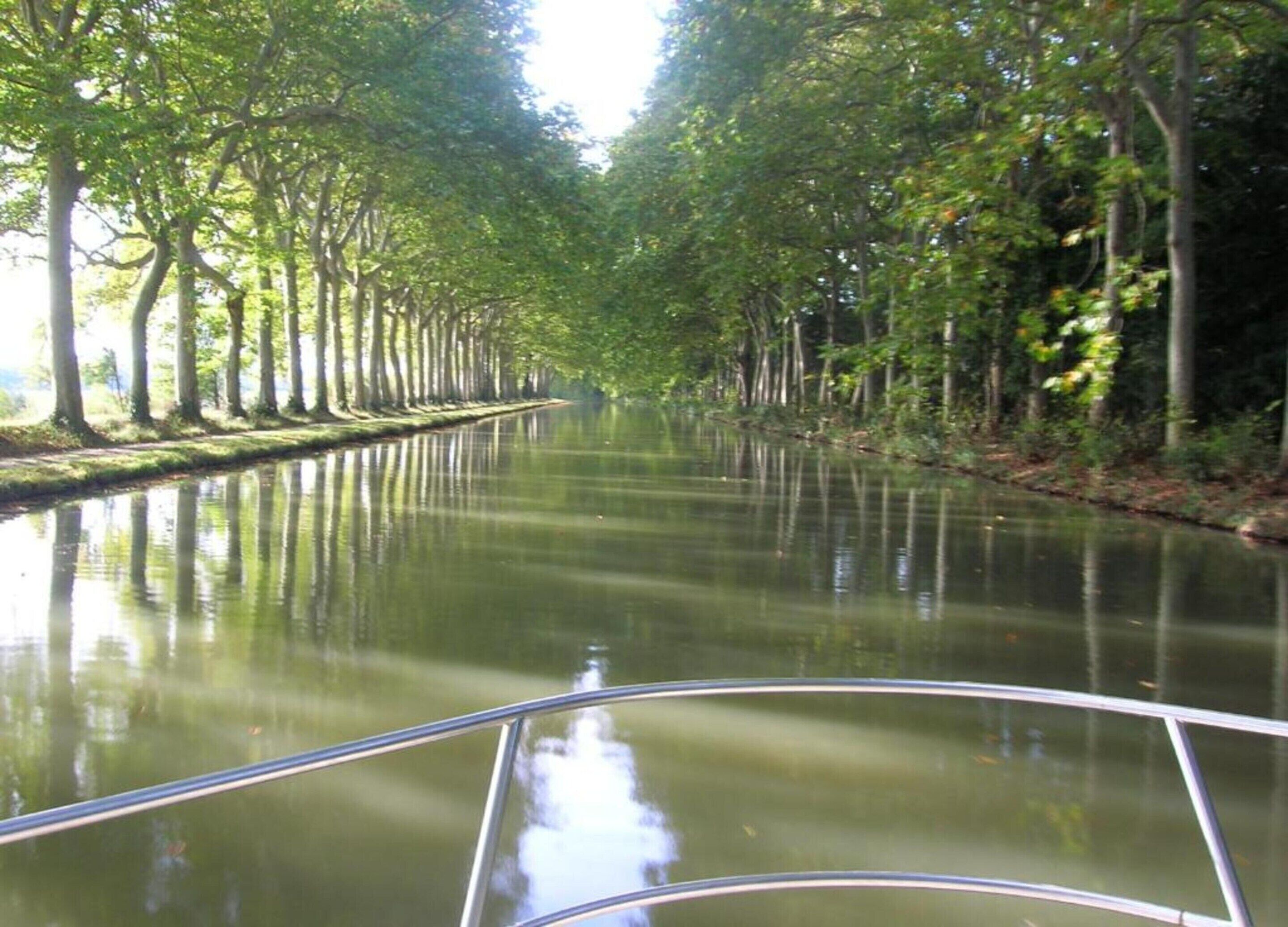 Een rustige rivier, omzoomd door bomen, vanuit een boot gezien.