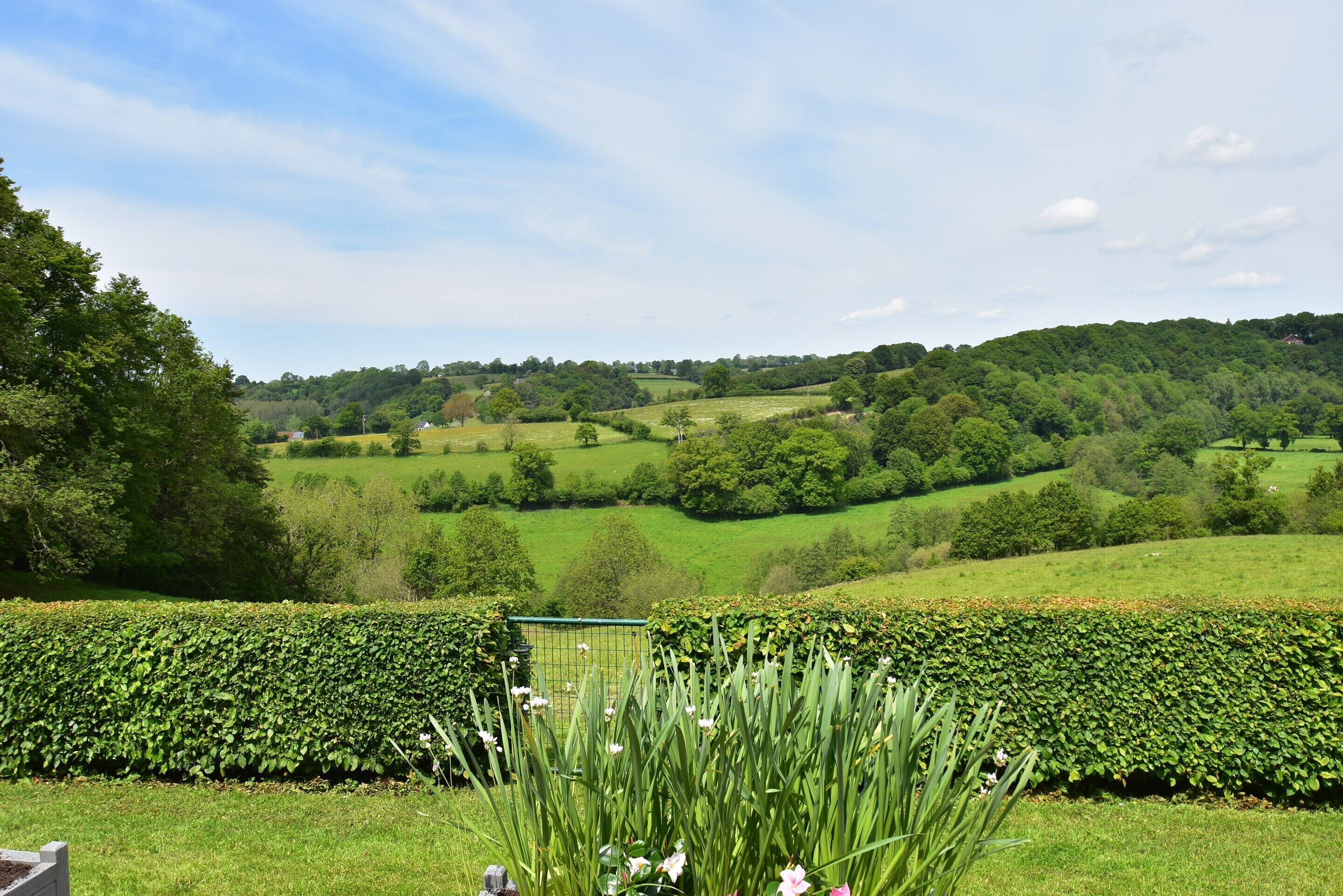 House | View from property