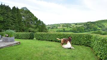 House | Garden