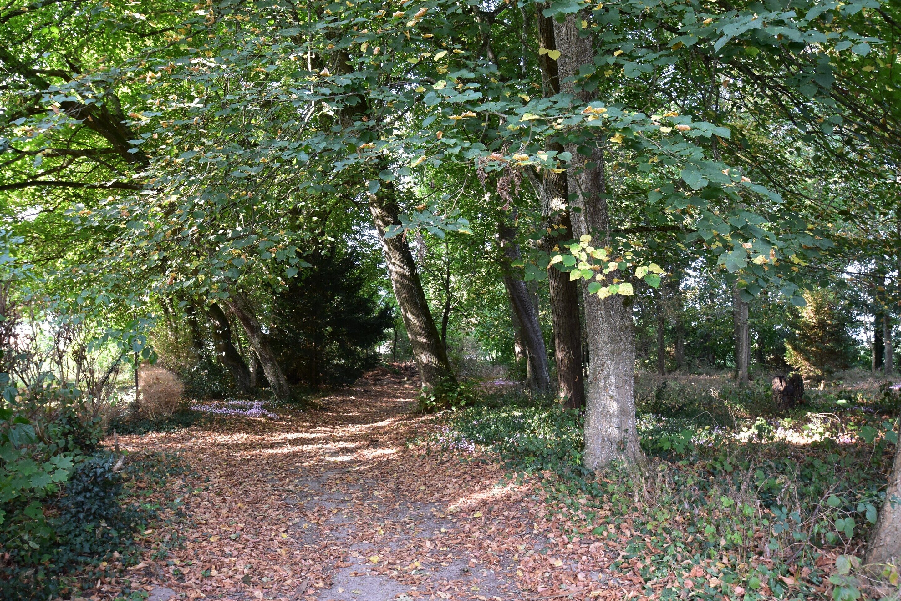 Jardin
