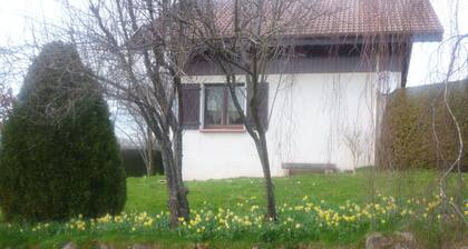 Chalet in Gerardmer Near Ski Slopes