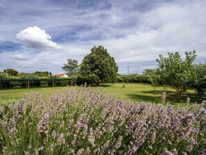 Garden - Spacious Holiday Home With Private Pool (Polaca)