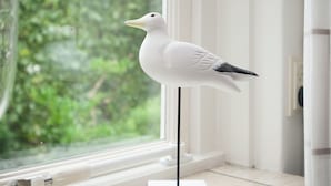 Værelse