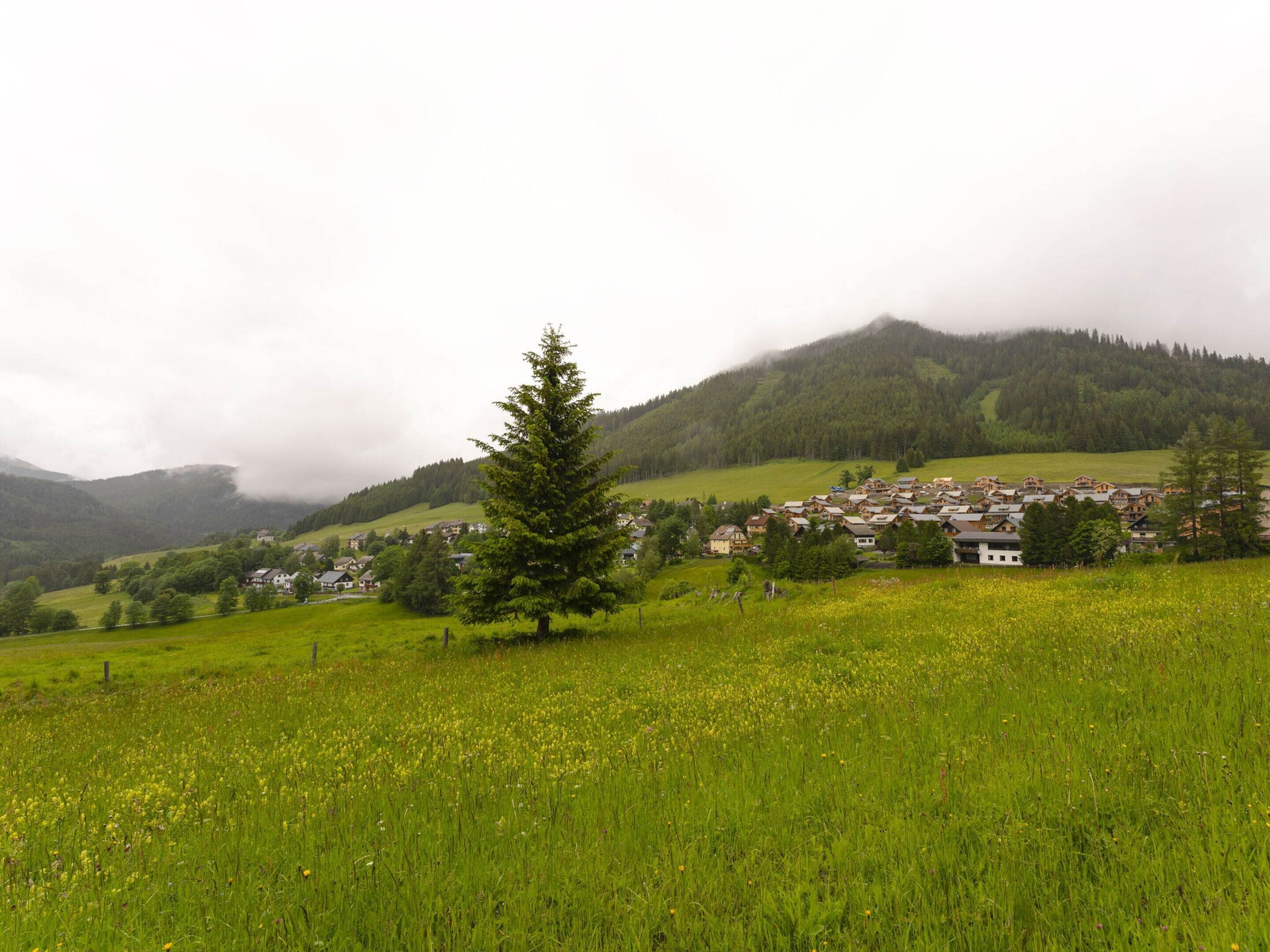 A rural village with houses surrounded by green fields and a mountain in the background.