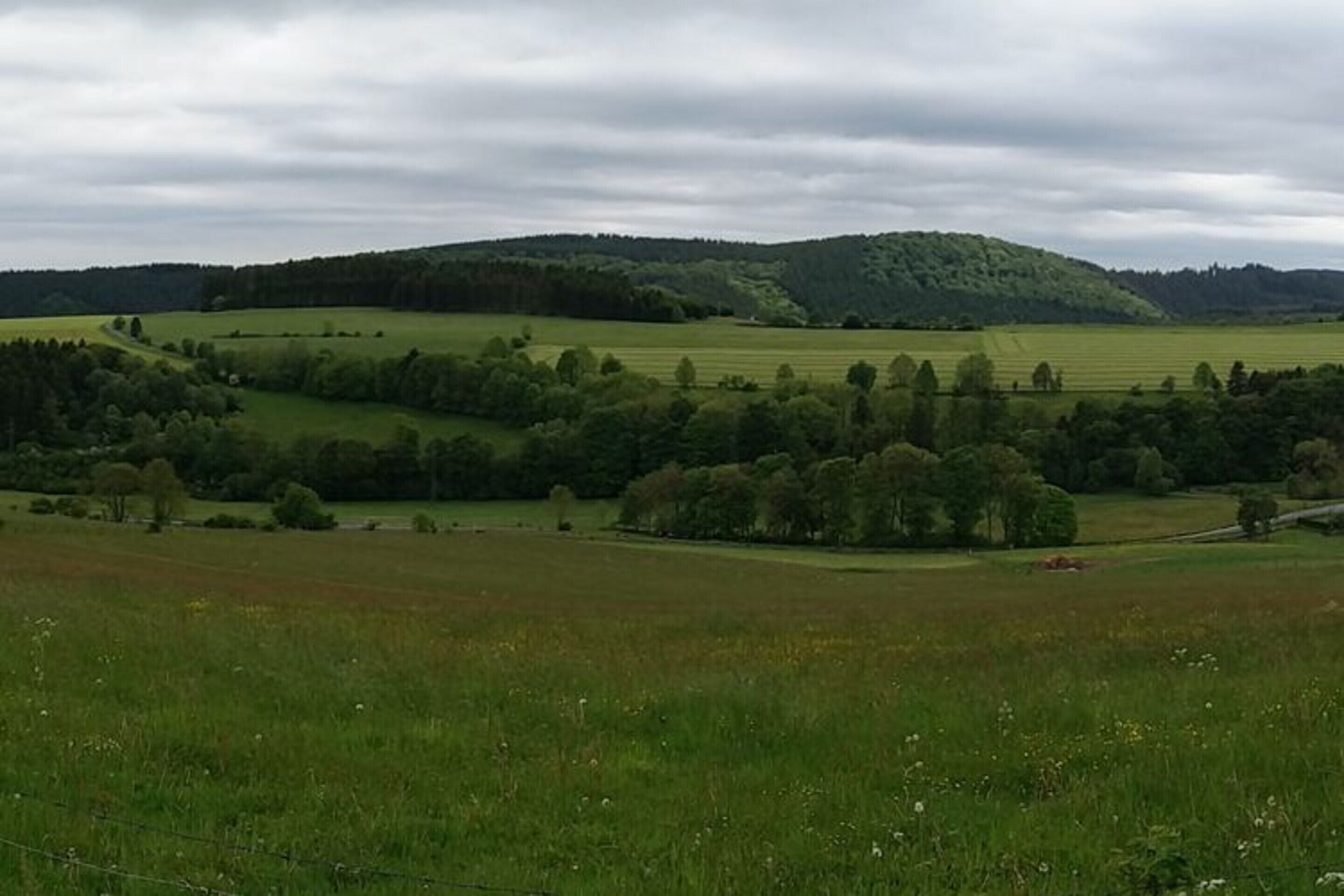 A rural landscape with rolling hills, fields, and scattered trees.