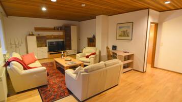 House | Living area | Fireplace