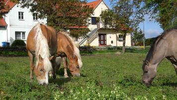 Apartment | Interior detail
