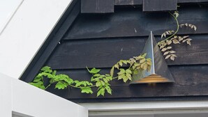 A building with a dark wooden exterior, a white door, and a colorful painting on the wall. - Beautiful Holiday Home Near Lawn Bowling in Krabbendam (Warmenhuizen)