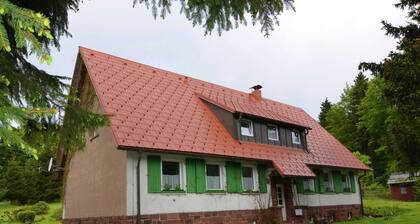 Modern Apartment in Tabarz Thüringer Wald With Garden