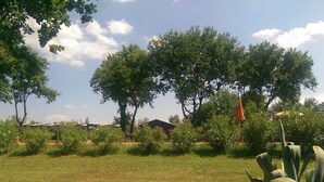 A grassy outdoor area with trees and a few structures in the background. - Tuscan Mansion Getaway (Castelfranco Piandisco)