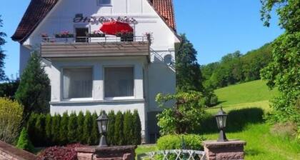 Wohnung in Bad Pyrmont mit Grillterrasse