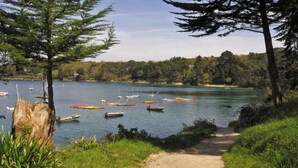 Um lago com barcos, uma trilha de terra e árvores.