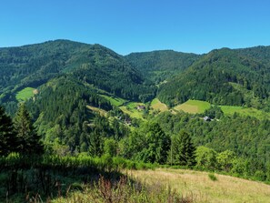 Apartment | View from property