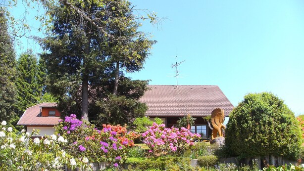 A house with a tiled roof, surrounded by lush gardens and various flowering plants. - Ferienwohnung in Gutenbach (Guetenbach)