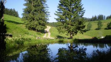 Apartment | Pemandangan dari hartanah