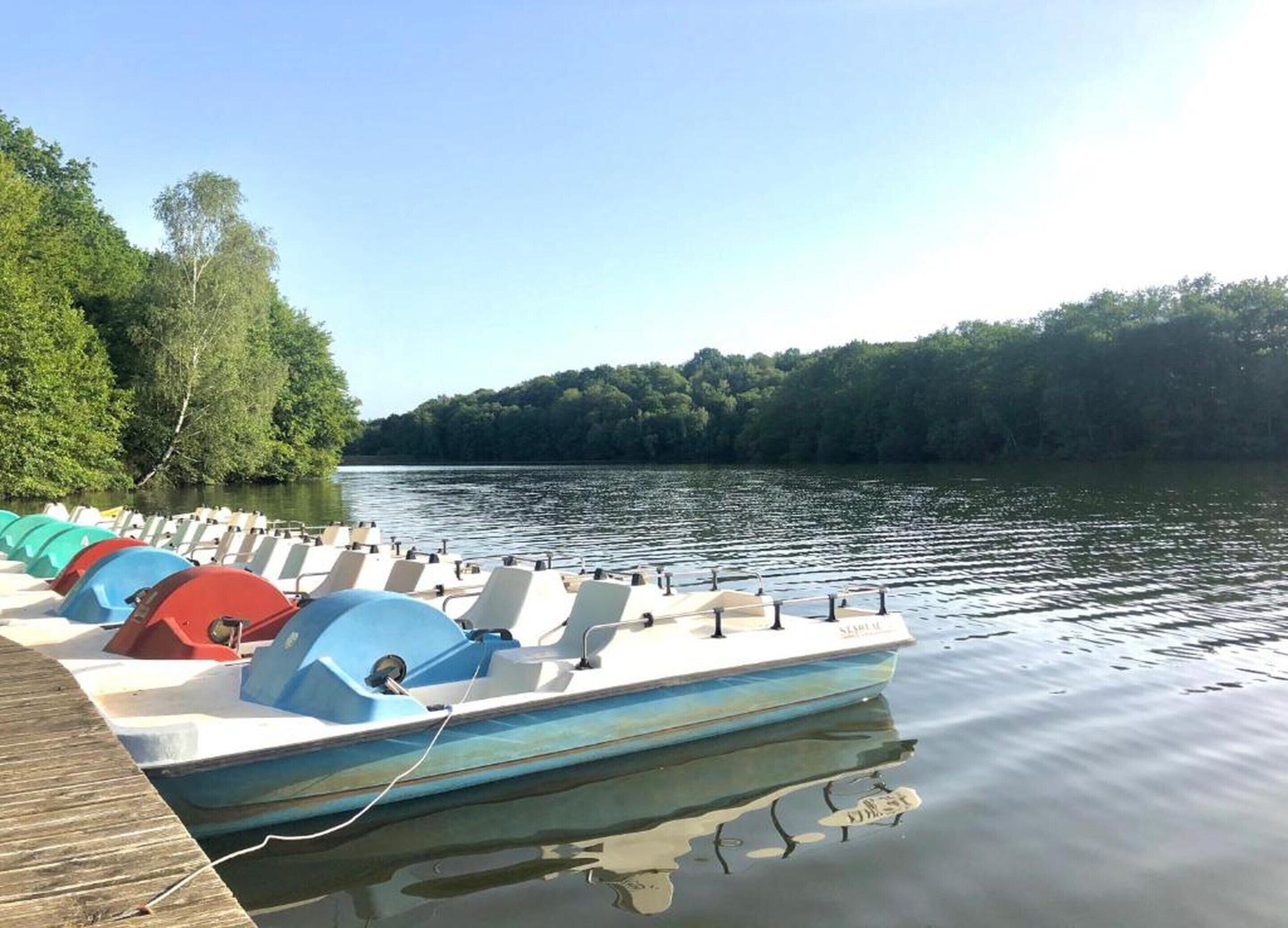 Cottage | Pemandangan dari properti