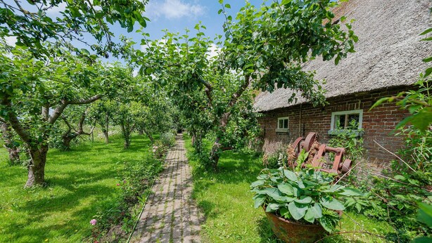A rustic brick building with a thatched roof, surrounded by a garden with a paved path. - Farmhouse by Lauwers River With Rowing Boat (Burum)