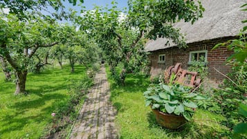 Apartment | Garden