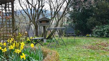 Apartment | Property amenity