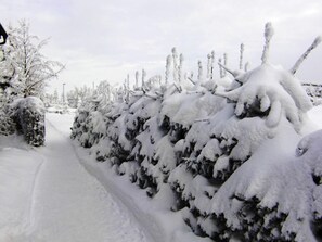 Apartment | Garden - Forest Escape With Garden (Grossbreitenbach)