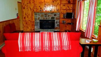 Een televisie, een dvd-speler, boeken en een filmbibliotheek