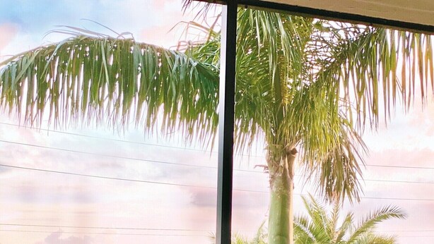 Un balcon avec vue sur des palmiers et une plage. On y trouve une chaise en osier, un livre et une plante en pot sur la table.