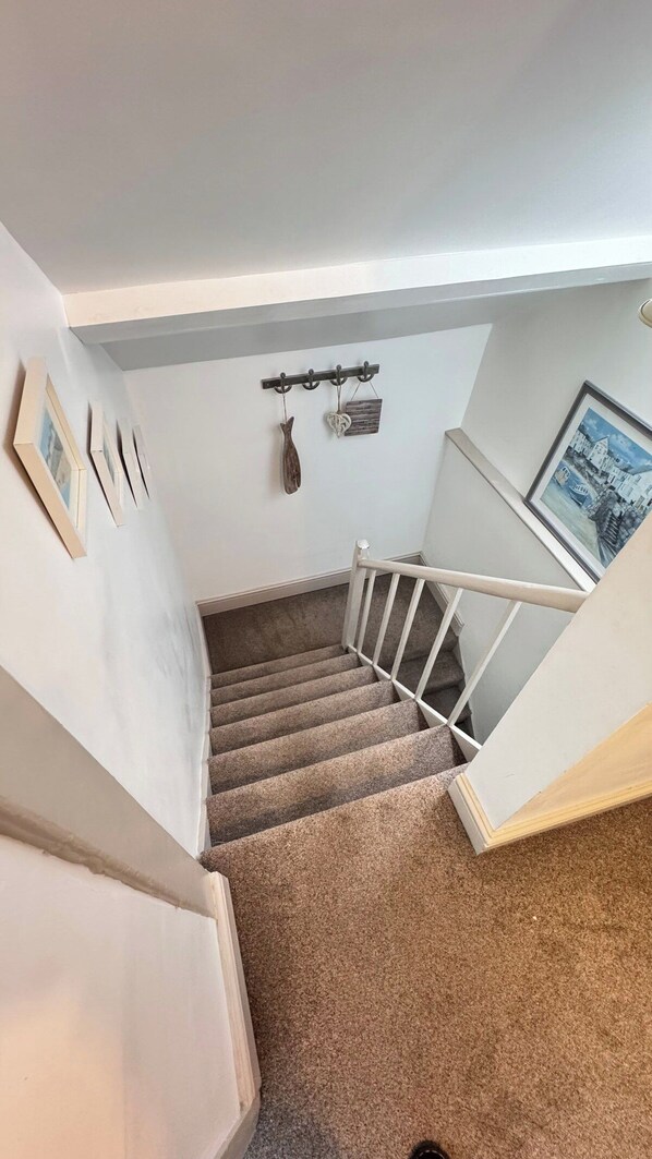 A carpeted staircase with a white handrail, a wall-mounted coat rack, and framed pictures.