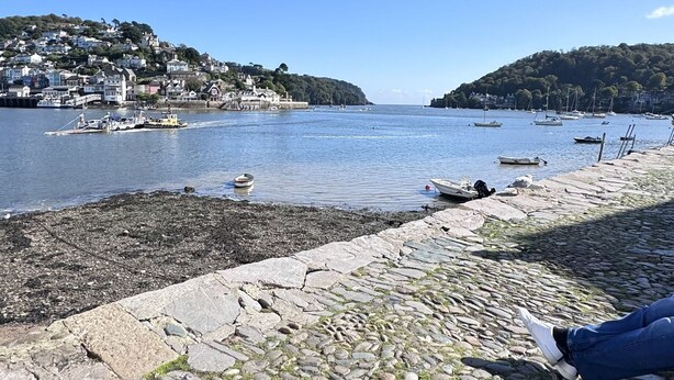 A coastal scene with a rocky beach, a clear blue sky, and a view of a town across the water.