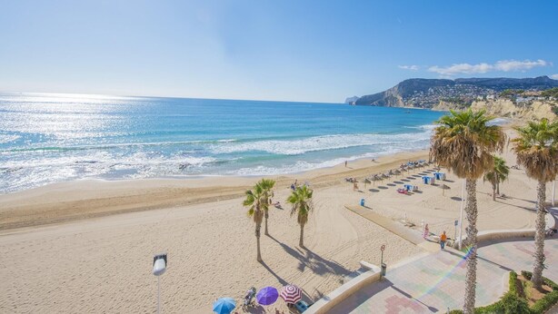 A beach with palm trees, umbrellas, and a clear view of the ocean. - Apartment Capri - PlusHolidays (Calpe)