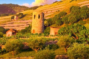 A vineyard with stone buildings and a tower.
