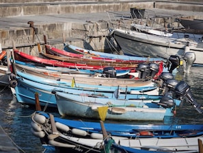 A marina with multiple small boats docked. - Ventegà Sea View Apartment (Vernazza)