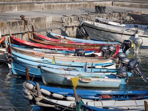 Marina - Ventegà Sea View Apartment (Vernazza)