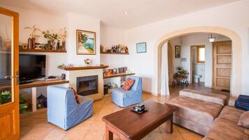 Télévision, cheminée, lecteur de DVD, table de tennis de table