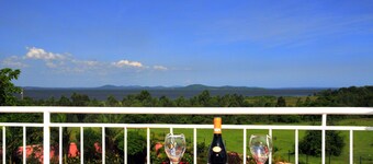 Victoria lake view Guest House & Safaris