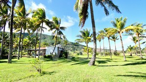 A tropical landscape with palm trees and a small building.