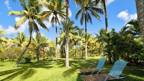 A tropical garden with palm trees and two lounge chairs.