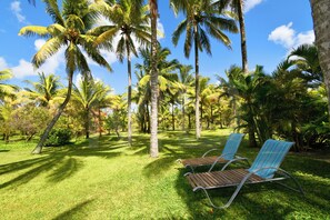 Property grounds - Villa Chez Zaza in a beautiful garden of palmtrees (Le Morne)