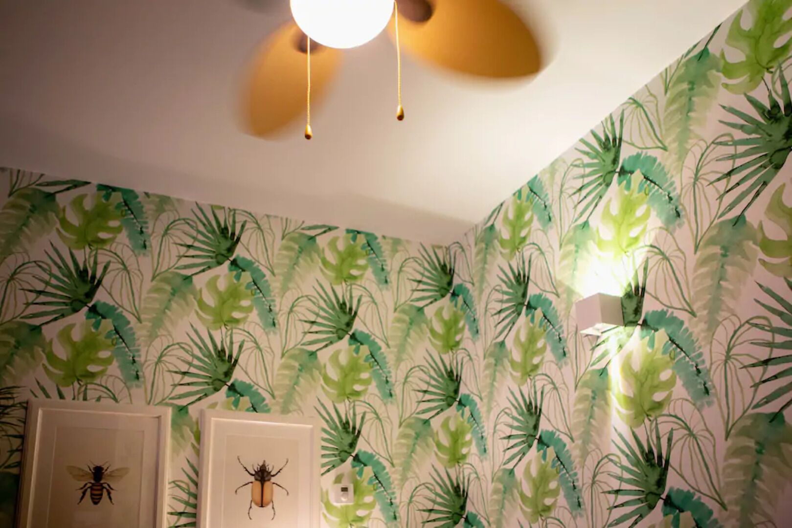 Una habitación con ventilador de techo, una pared con diseño de hojas tropicales y dos cuadros con imágenes de insectos.