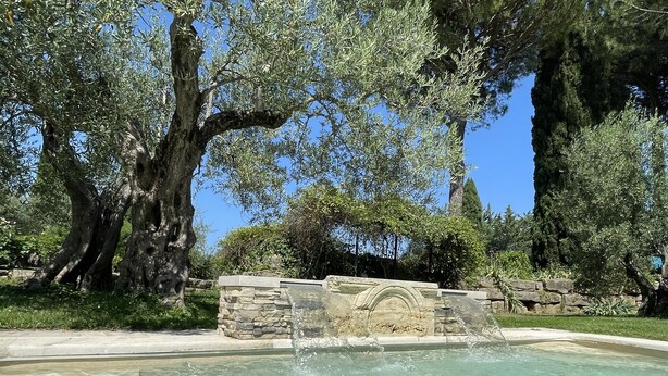 A clear pool surrounded by stone walls and large trees. - Le Balze Charming Apartment in villa, private garden, 10 min from Perugia Centre (Perugia)