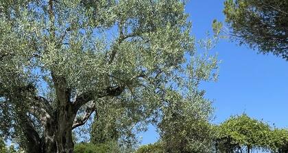 Oasis of peace on the outskirts of Perugia, apt in villa, private garden + pool