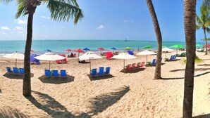 A beach with rows of blue and red lounge chairs under umbrellas, palm trees, and a clear view of the ocean.