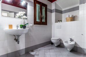 Shower, hair dryer, bidet, towels
